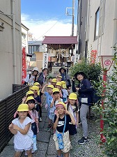 オルガン (13) オルガン (13)