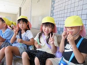 オルガン (25) オルガン (25)