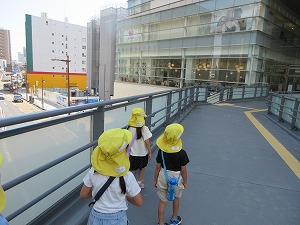 オルガン (44) オルガン (44)