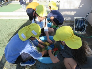 冬休み前 (6) 冬休み前 (6)