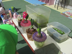バッタ バッタ