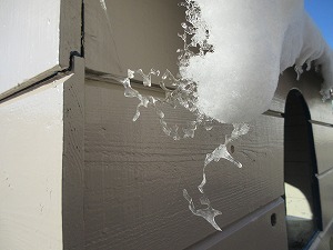 雪 (4) 雪 (4)