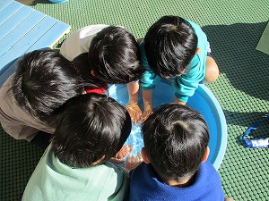 雪 (23) 雪 (23)