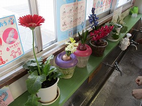 手洗い 手洗い