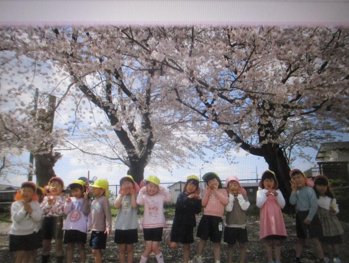 桜 桜
