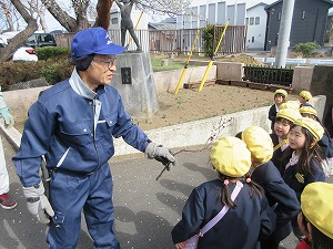 中学生 (3) 中学生 (3)