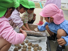灰をつける5 灰をつける5