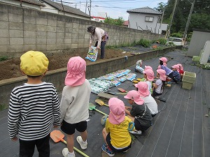 野菜 (3)