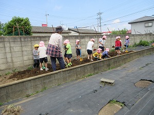 野菜 (5) 野菜 (5)