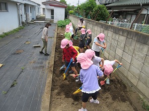 野菜 (4)