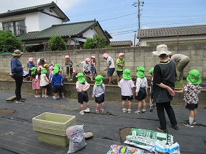 野菜 (7) 野菜 (7)