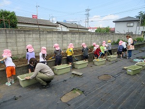 野菜 (8)