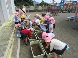 野菜 (10) 野菜 (10)