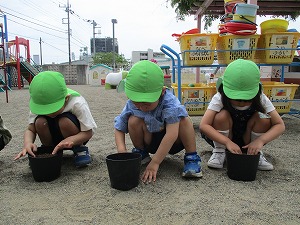 野菜 (5) 野菜 (5)