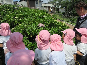 保和苑 (5)