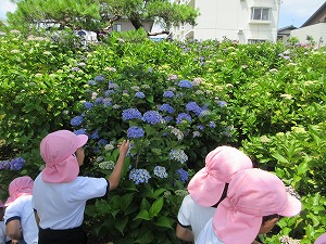 保和苑 (6)