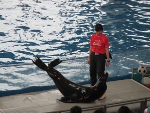 IMG_1763 IMG_1763