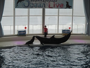 IMG_1767 IMG_1767