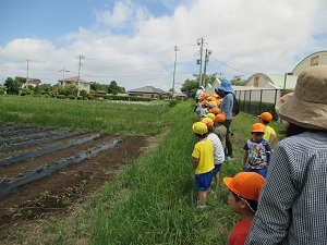 IMG_1497 IMG_1497