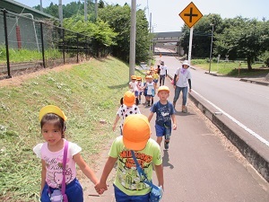 IMG_1794 IMG_1794