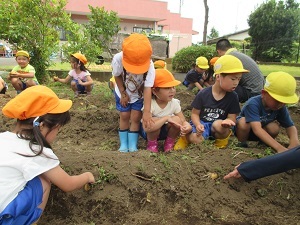 IMG_1801 IMG_1801
