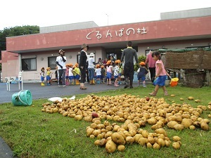 IMG_1828 IMG_1828