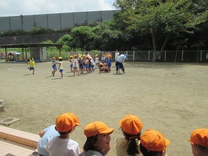 IMG_2213 IMG_2213