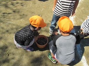 IMG_2472 IMG_2472