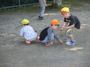 IMG_2478 IMG_2478