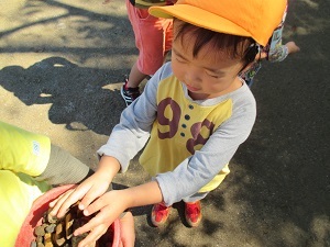 IMG_2481 IMG_2481
