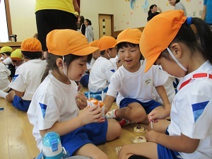 IMG_2519 IMG_2519