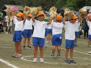 IMG_2531 IMG_2531