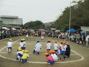 IMG_2541 IMG_2541