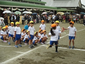 IMG_2545 IMG_2545