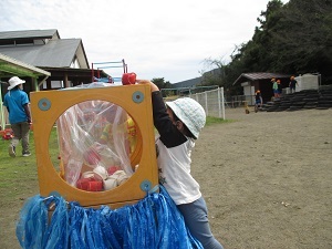 IMG_2610 IMG_2610