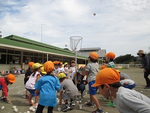 IMG_2624 IMG_2624