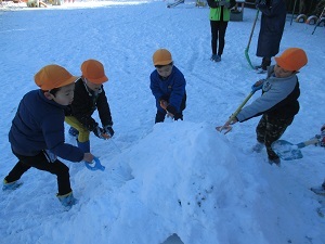 IMG_4682(1) IMG_4682(1)