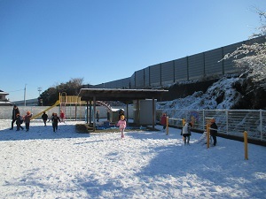 IMG_4685(1) IMG_4685(1)