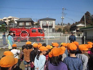 IMG_4855 IMG_4855