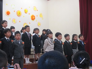 IMG_5517 IMG_5517