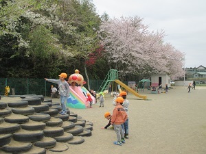 IMG_5644 IMG_5644