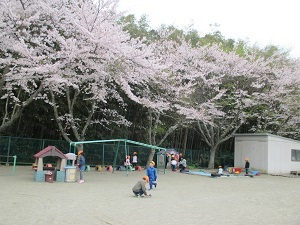 IMG_5647 IMG_5647
