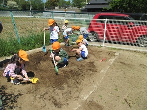 IMG_0236 IMG_0236