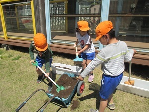 IMG_0238 IMG_0238