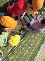 IMG_0641 IMG_0641