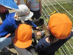 IMG_0643 IMG_0643