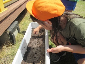 IMG_0644 IMG_0644