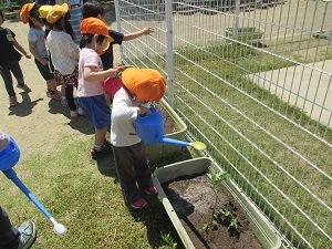 IMG_0647 IMG_0647