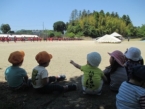 IMG_0739 IMG_0739