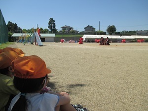 IMG_0742 IMG_0742
